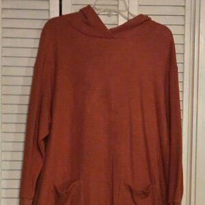 Long Sleeve Hoodie Dress